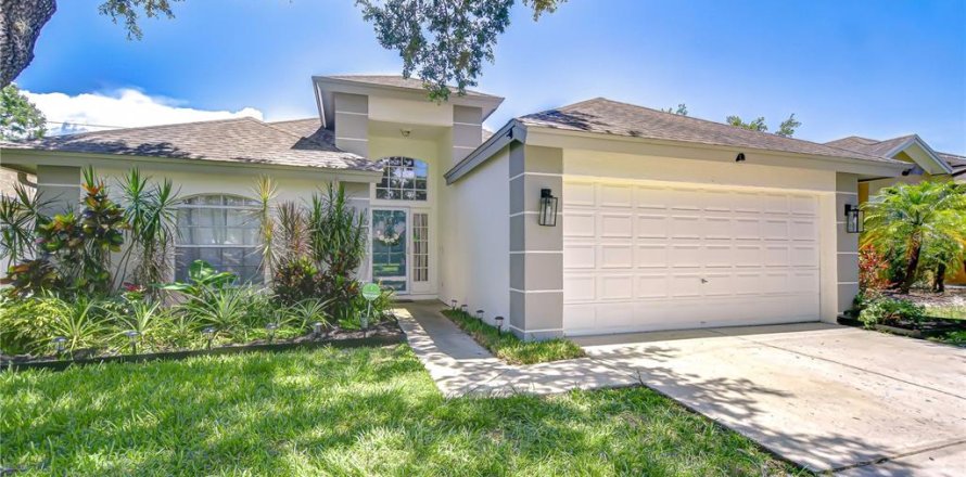 House in Brandon, Florida 3 bedrooms, 166.11 sq.m. № 1751212