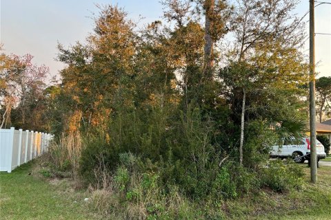 Land in Palm Coast, Florida № 982229 - photo 4