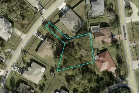Land in Palm Coast, Florida № 982229 - photo 1