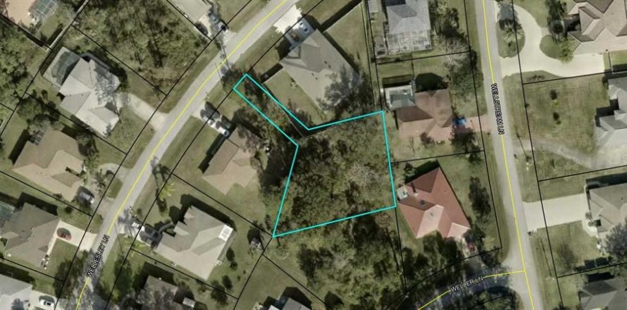 Land in Palm Coast, Florida № 982229