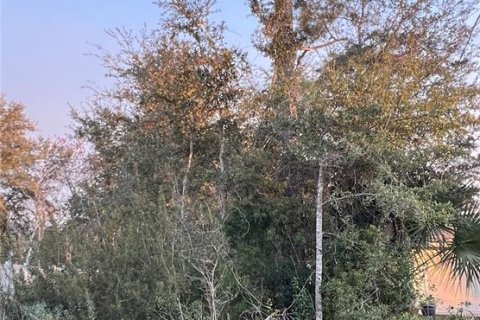 Land in Palm Coast, Florida № 982229 - photo 5