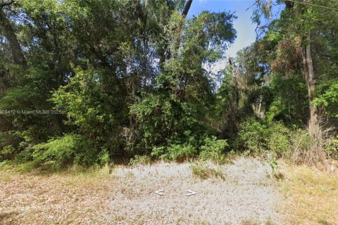 Terreno en venta en Ocala, Florida № 1965506 - foto 1