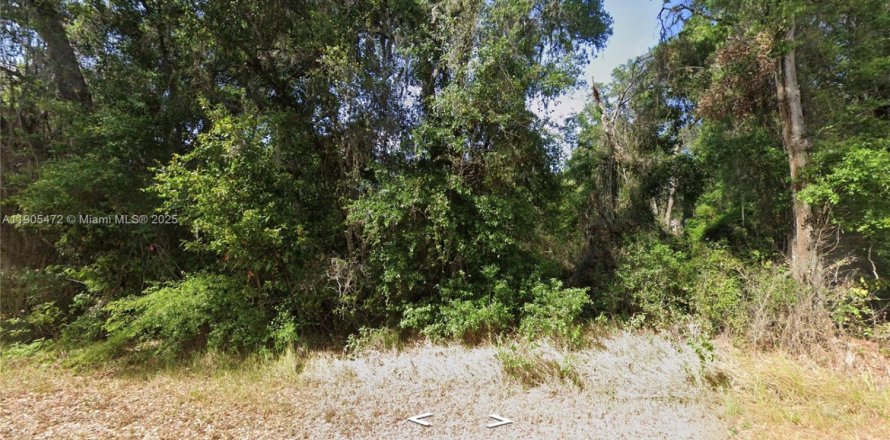 Terreno en Ocala, Florida № 1965506