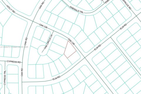 Terreno en venta en Ocala, Florida № 1965506 - foto 2