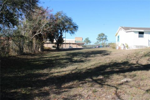 Immobilier commercial à vendre à Spring Hill, Floride: 37.16 m2 № 2131519 - photo 22