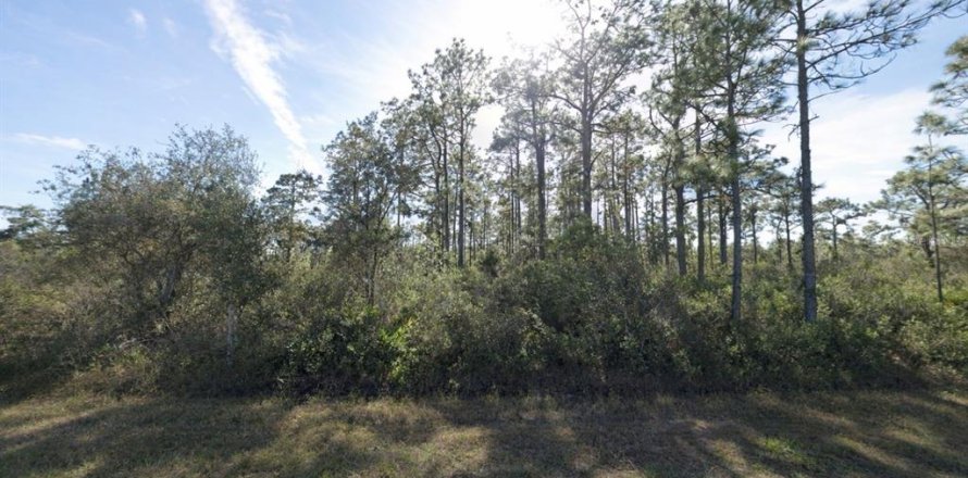 Land in Indian lake estates, Florida № 2206053