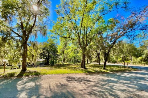 Terreno en venta en Melrose, Florida № 2159510 - foto 5