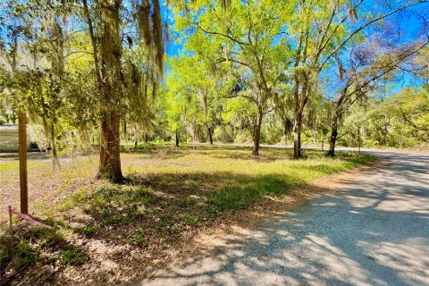 Terreno en venta en Melrose, Florida № 2159510 - foto 3