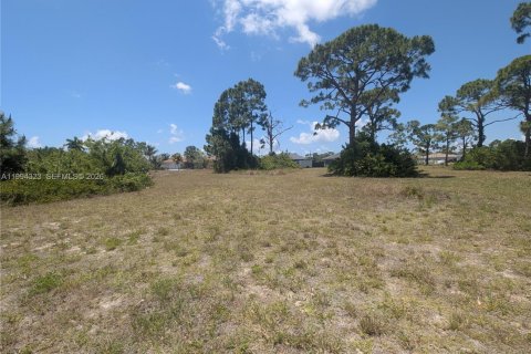 Terrain à vendre à Cape Coral, Floride № 2158406 - photo 5