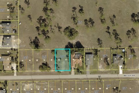 Terrain à vendre à Cape Coral, Floride № 2158406 - photo 7