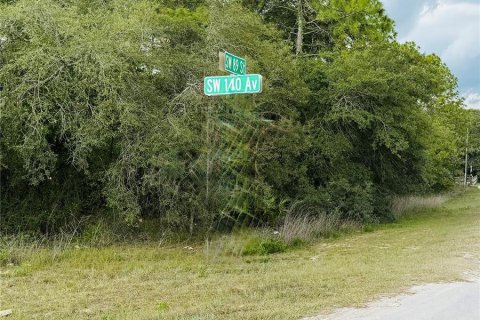 Land in Ocala, Florida № 1759474 - photo 2