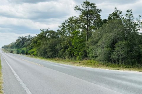 Land in Ocala, Florida № 1759474 - photo 5