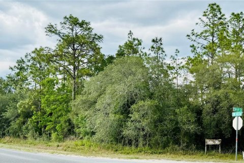 Land in Ocala, Florida № 1759474 - photo 6