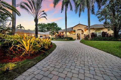 House in Southwest Ranches, Florida 7 bedrooms, 465.16 sq.m. № 1848801 - photo 3