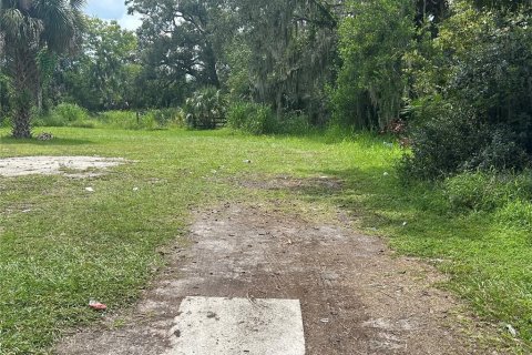 Land in Sanford, Florida № 1904479 - photo 4
