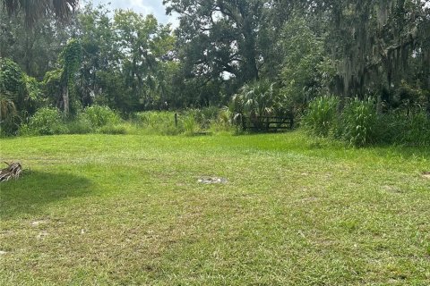 Land in Sanford, Florida № 1904479 - photo 3