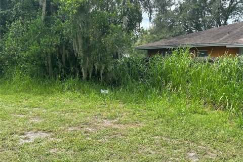 Land in Sanford, Florida № 1904479 - photo 7