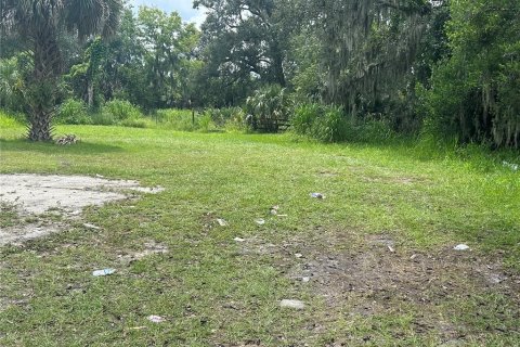 Land in Sanford, Florida № 1904479 - photo 1