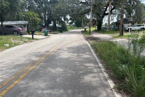Land in Sanford, Florida № 1904479 - photo 8