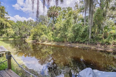 Townhouse in Inverness, Florida 2 bedrooms, 114.27 sq.m. № 1883558 - photo 28