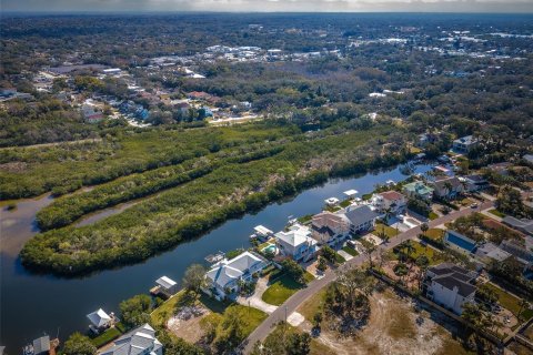 Terreno en venta en Palm Harbor, Florida № 1439356 - foto 20