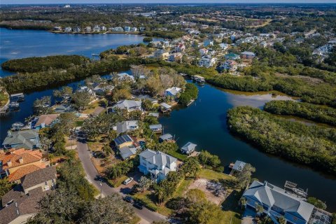 Terreno en venta en Palm Harbor, Florida № 1439356 - foto 14