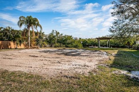 Terreno en venta en Palm Harbor, Florida № 1439356 - foto 28
