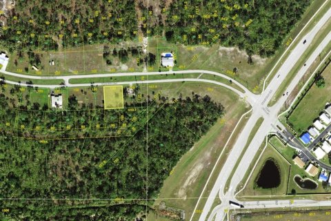 Land in Punta Gorda, Florida № 2159679 - photo 2