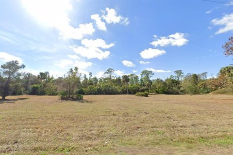 Land in Punta Gorda, Florida № 2159679 - photo 3
