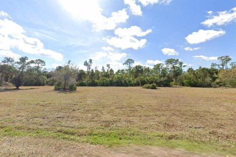 Land in Punta Gorda, Florida № 2159679 - photo 4
