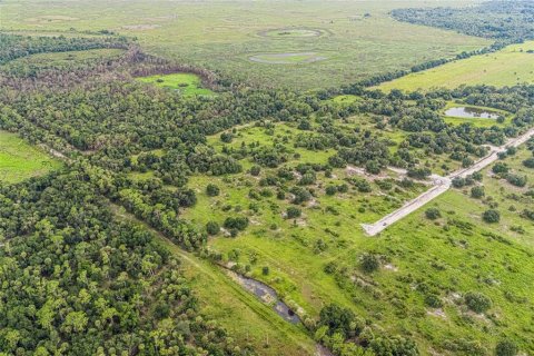 Terrain à vendre à Myakka City, Floride № 2325018 - photo 8