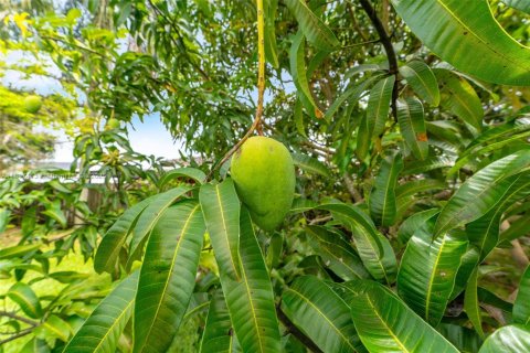 House in Homestead, Florida 3 bedrooms, 150.59 sq.m. № 1934194 - photo 24