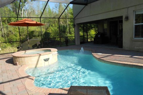 Casa en alquiler en Tampa, Florida, 4 dormitorios, 269.42 m2 № 1886823 - foto 13