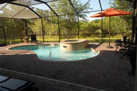 Casa en alquiler en Tampa, Florida, 4 dormitorios, 269.42 m2 № 1886823 - foto 10