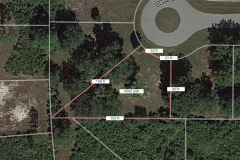 Land in Placida, Florida № 2213807 - photo 2
