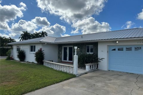 Villa ou maison à Fort Myers, Floride 3 chambres, 171.87 m2 № 2034889