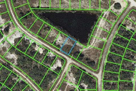 Land in Lake Placid, Florida № 2163051