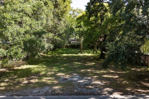 Terrain à vendre à Tampa, Floride № 1886934 - photo 3