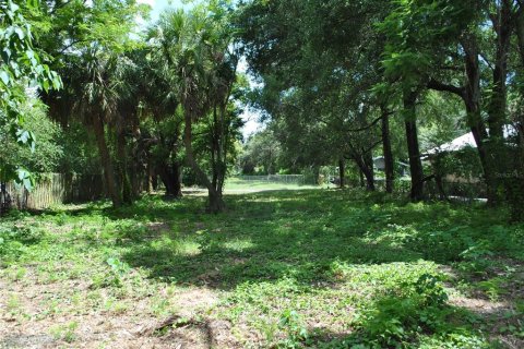 Terrain à vendre à Tampa, Floride № 1886934 - photo 7