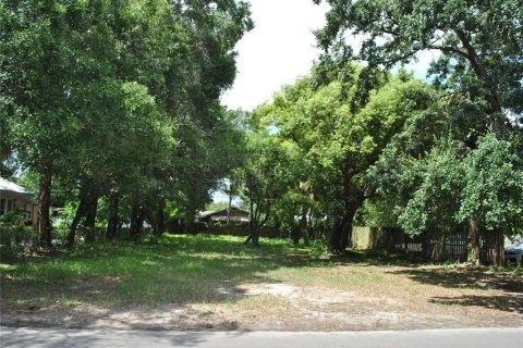 Terrain à vendre à Tampa, Floride № 1886934 - photo 4