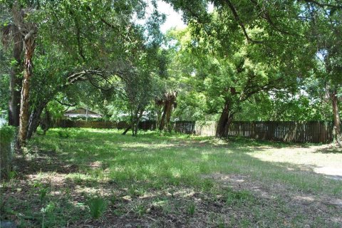 Terrain à vendre à Tampa, Floride № 1886934 - photo 5