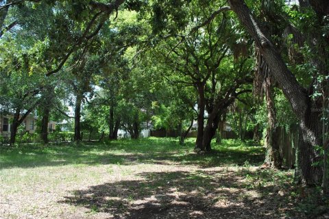 Terrain à vendre à Tampa, Floride № 1886934 - photo 6