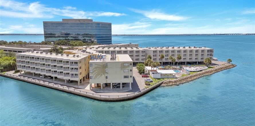 Propiedad comercial en Tampa, Florida 5 dormitorios, 247.86 m2 № 1895065