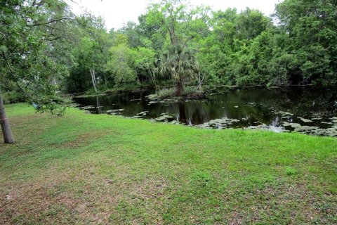 Terreno en venta en Palm Harbor, Florida № 1522194 - foto 18