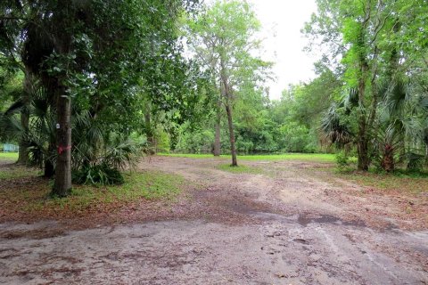 Terreno en venta en Palm Harbor, Florida № 1522194 - foto 13