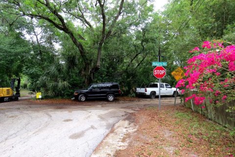 Terreno en venta en Palm Harbor, Florida № 1522194 - foto 15