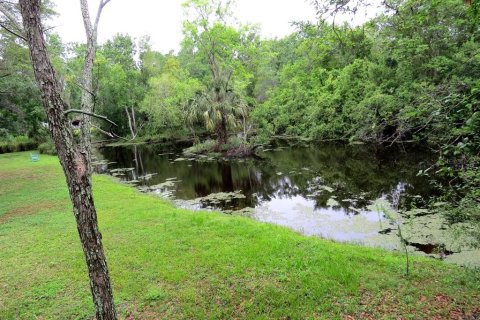 Terreno en venta en Palm Harbor, Florida № 1522194 - foto 19