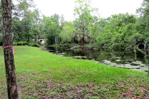 Terreno en venta en Palm Harbor, Florida № 1522194 - foto 20