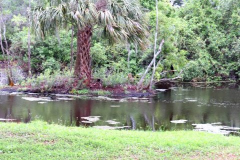 Terreno en venta en Palm Harbor, Florida № 1522194 - foto 10