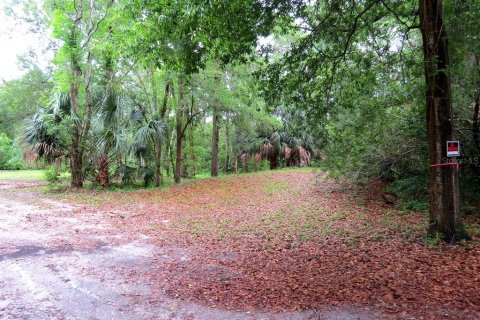 Terreno en venta en Palm Harbor, Florida № 1522194 - foto 9